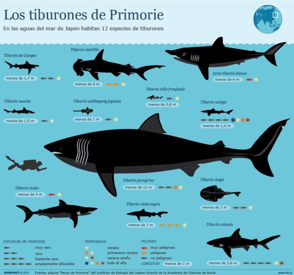 Los_tiburones_02.jpg